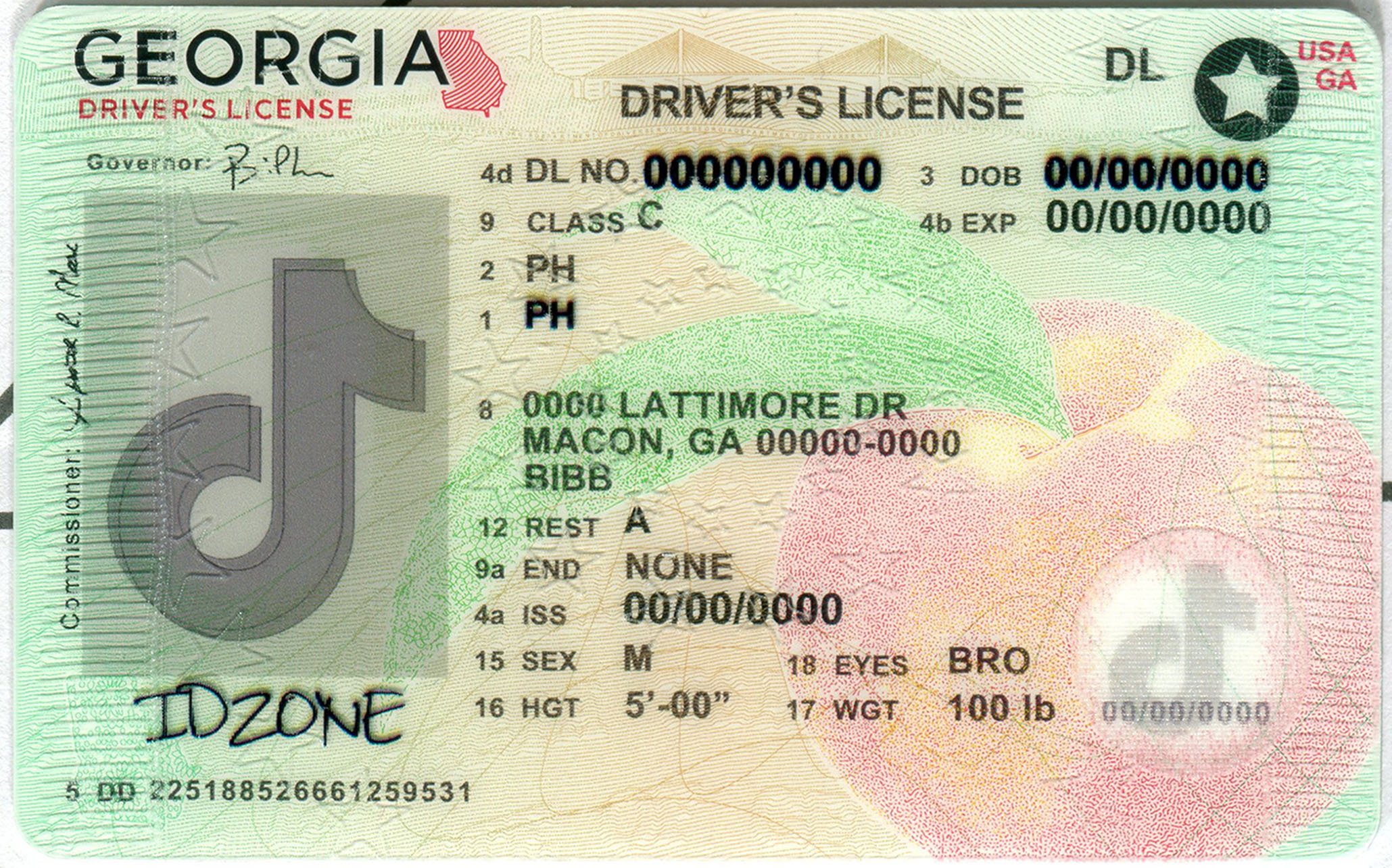 GEORGIA-New fake id