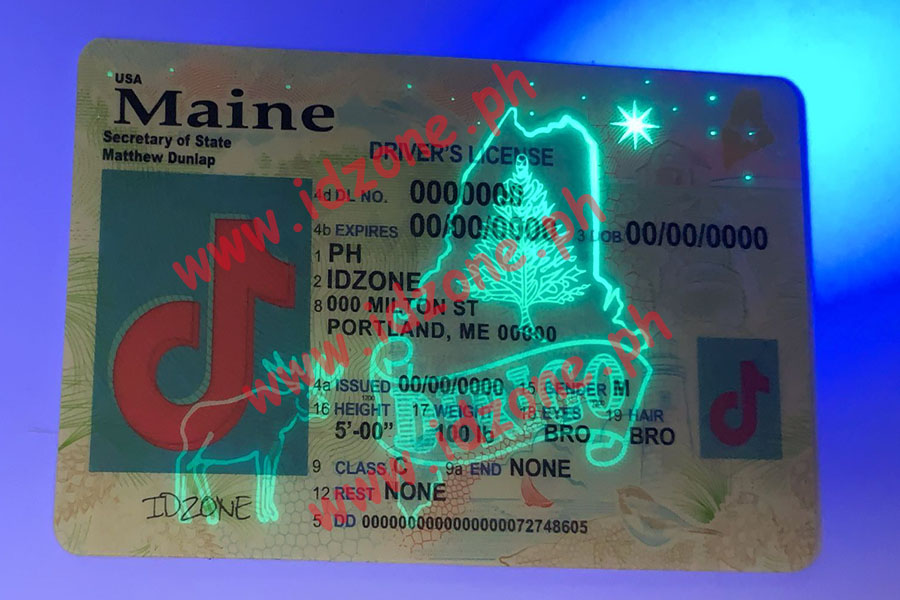 FAKE ID MAINE