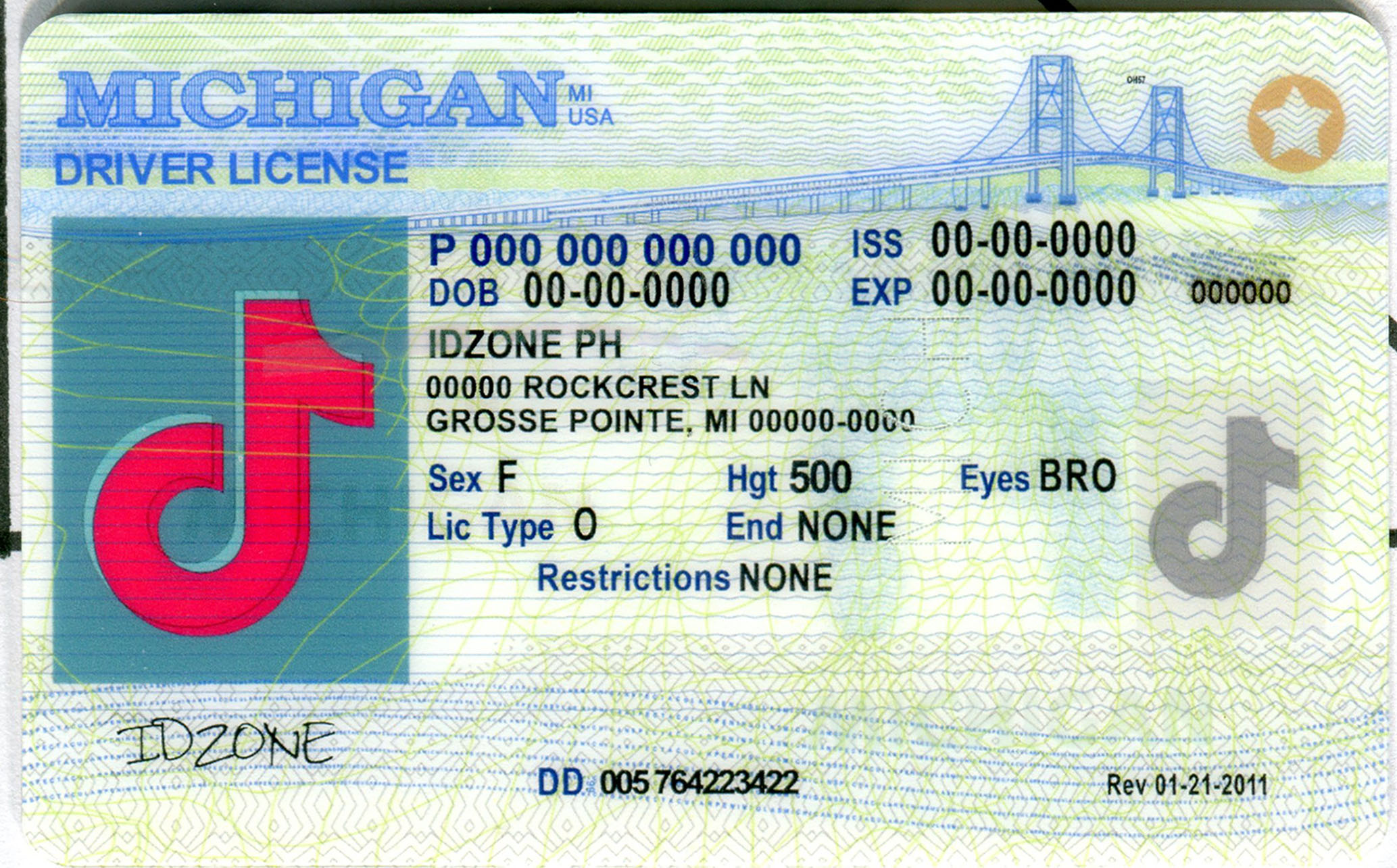 MICHIGAN fake id