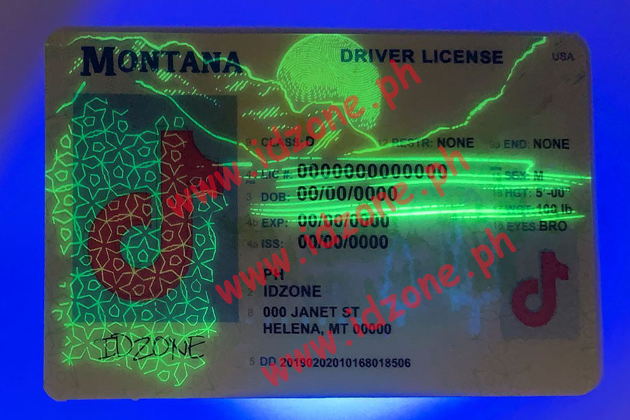 FAKE ID MONTANA