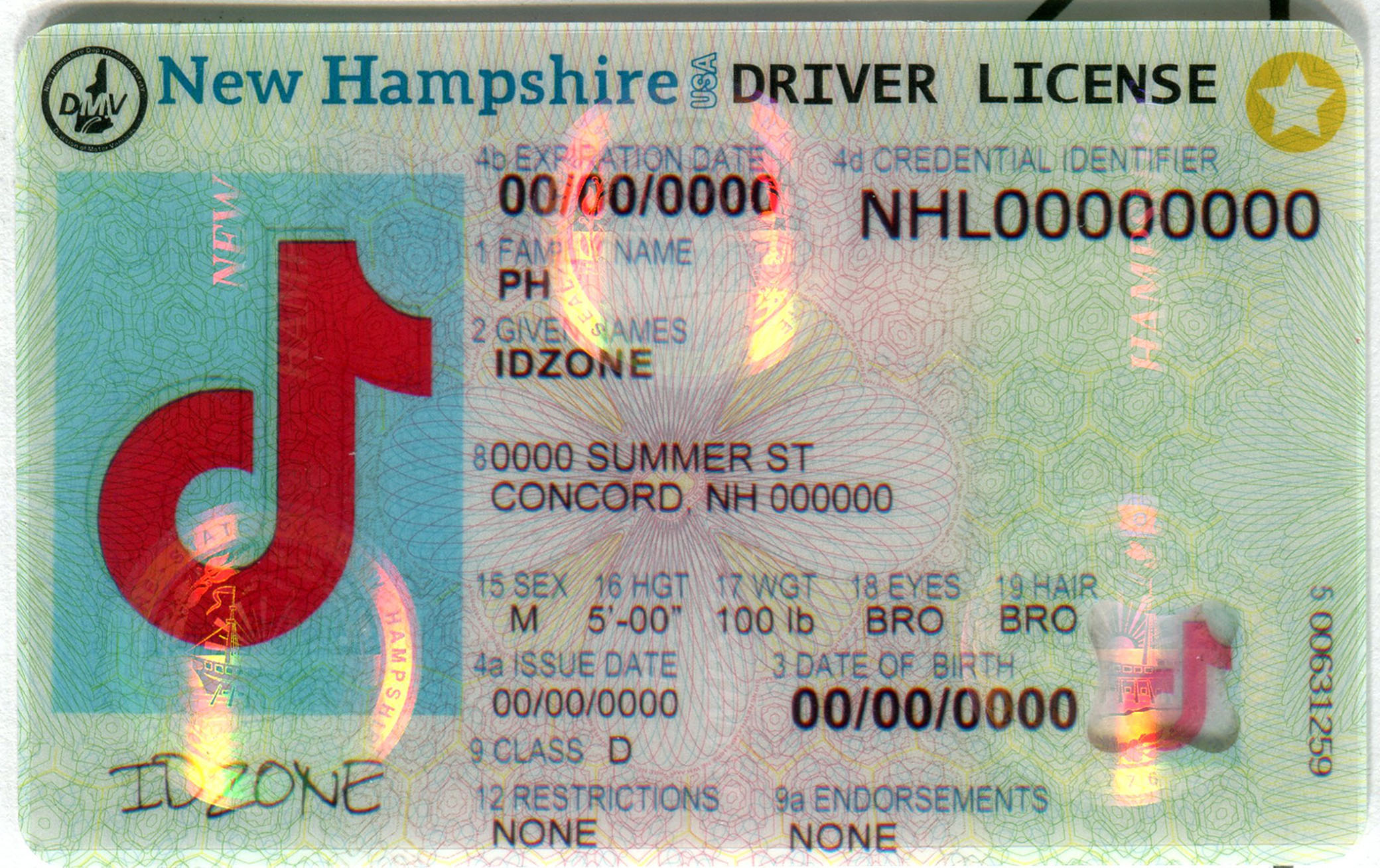 NEW HAMPSHIRE fake id