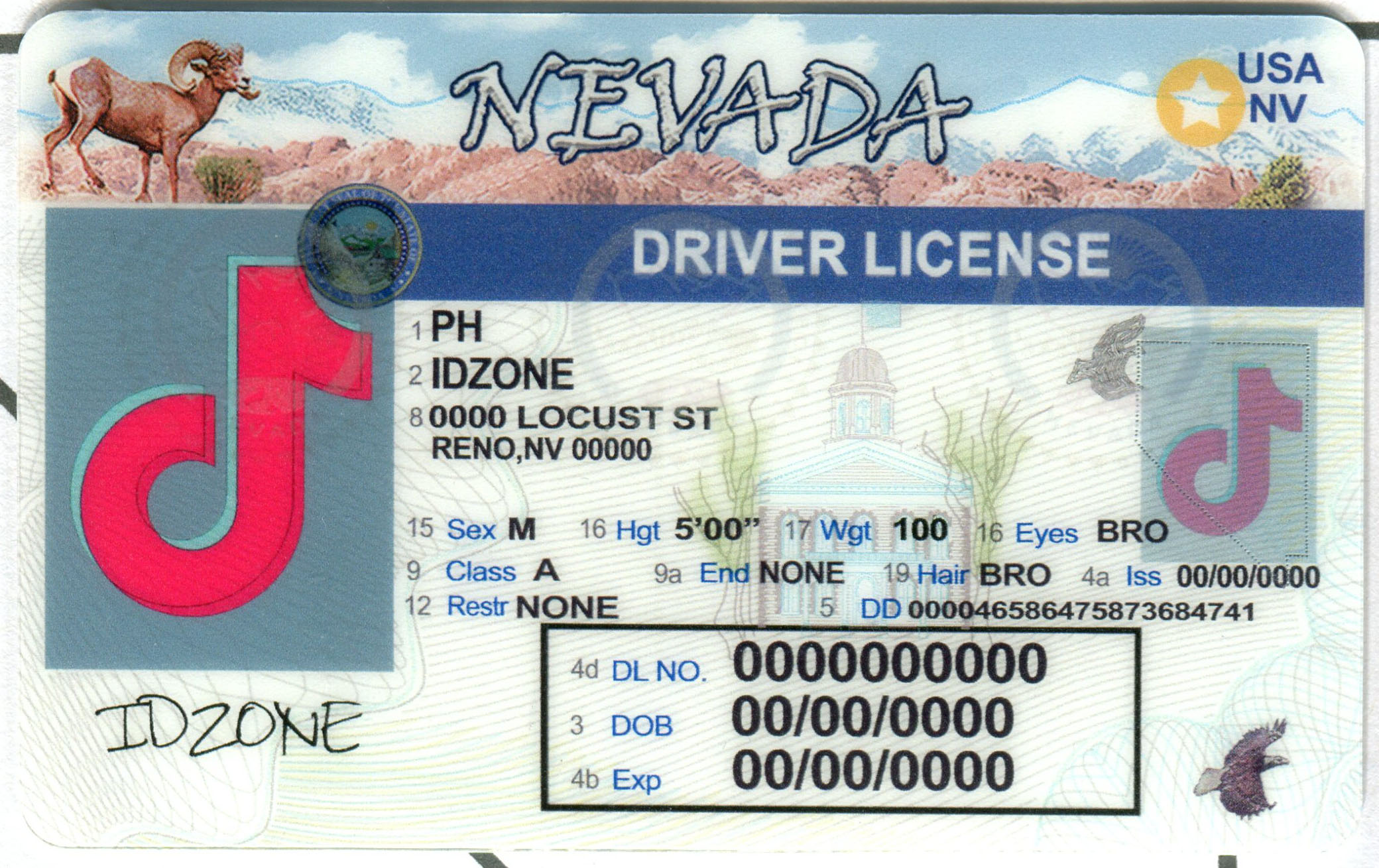 NEVADA-Old Scannable fake id