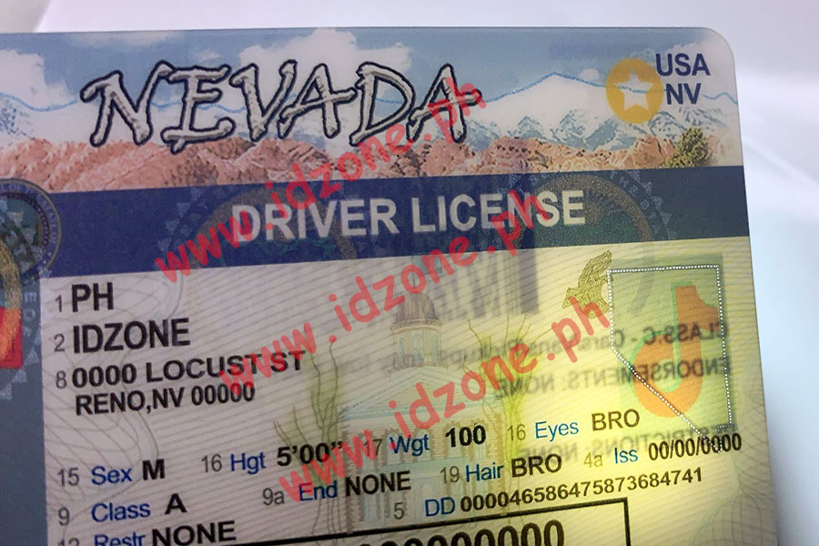 FAKE ID NV