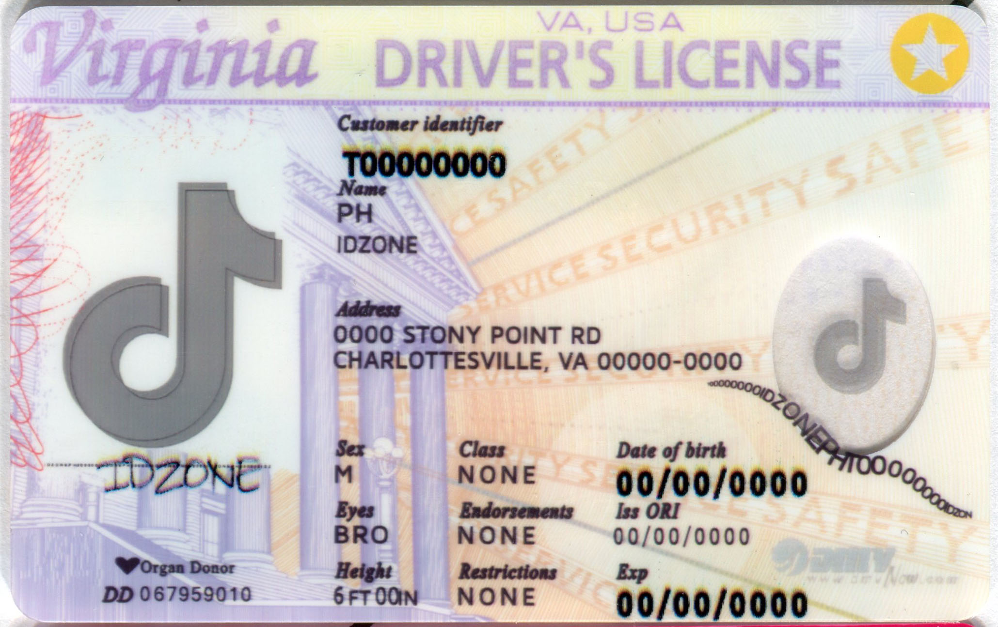 VIRGINIA buy fake id